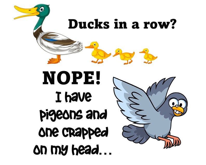May include: A cartoon illustration of a duck with a caption that reads "Ducks in a row? NOPE! I have pigeons and one crapped on my head..."