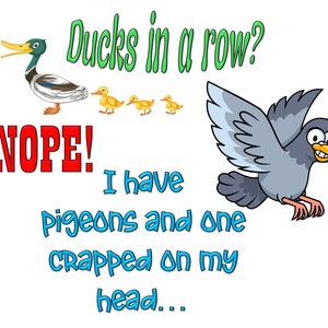 May include: A cartoon illustration of a duck and ducklings with the text "Ducks in a row? NOPE! I have pigeons and one crapped on my head..."