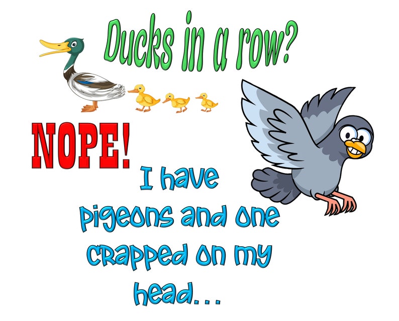 May include: A cartoon illustration of a duck and ducklings with the text "Ducks in a row? NOPE! I have pigeons and one crapped on my head..."