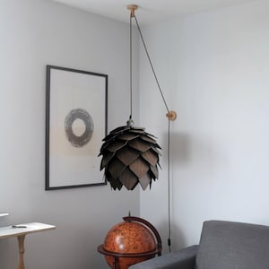 May include: A modern, dark wood pendant light fixture with a layered, cone-like design. The light hangs from a black cord and is mounted on a wooden ceiling fixture. The room also features a framed abstract print and a globe.