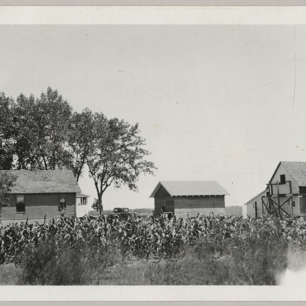 Original Vintage Photo Snapshot Farm House Barn Corn Denver Colorado 1933