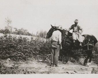 Original Vintage Photo Snapshot Man Famer Sitting on Harnessed Work Horse 1930s