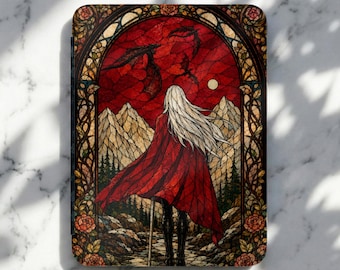 Throne of Glass Kindle Case, Booktok Romantasy Book Lovers Gift for Sarah J Maas Fan, Aelin Galathynius Paperwhite Case, Bookish Merch To