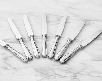 Vintage Christofle Capricorne Pastorale Stainless Steel Flatware Dessert Knife Dessert Knives Set of 7