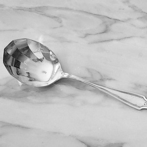 Antique Serving Spoon with Shell Formed Bowl in the Waldorf Pattern by Rockford Oneida