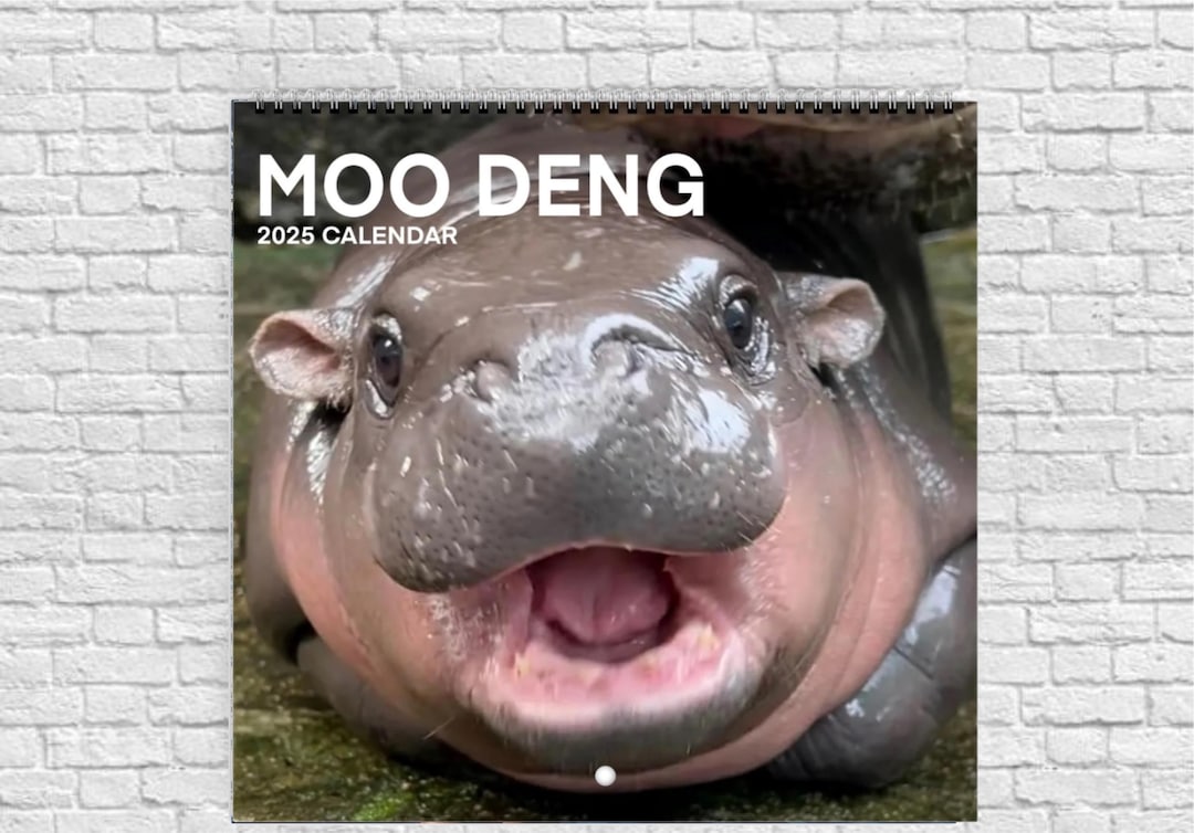 Moo Deng Calendar 2025 Calendar Moo Deng Hippo Baby Pygmy Hippo Moodeng Moo Deng Meme Trendy