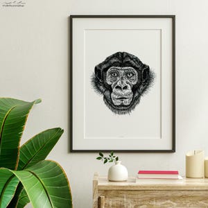 Animali: Scimpanzé