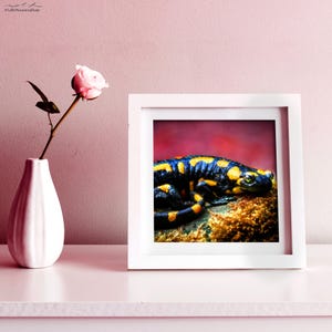 Colorblind Garden : Salamander