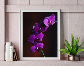PHOTOGRAPH PRETTY PURPLE ORCHID FLOWERS PETALS PICTURE ART PRINT POSTER MP5641A
