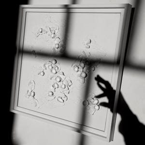 Decoração de parede 3D abstrata: Arte moderna orgânica de vida lenta com líquen
