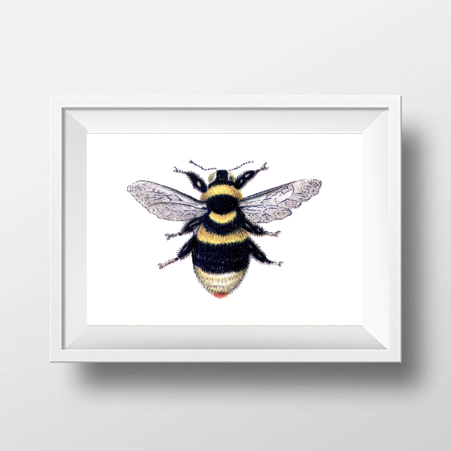 Insect Art DIGITAL FILES Printable Gold BumbleBee Print Bee Illustration Gold White BumbleBee sign Vintage BumbleBee Drawing Nature Print