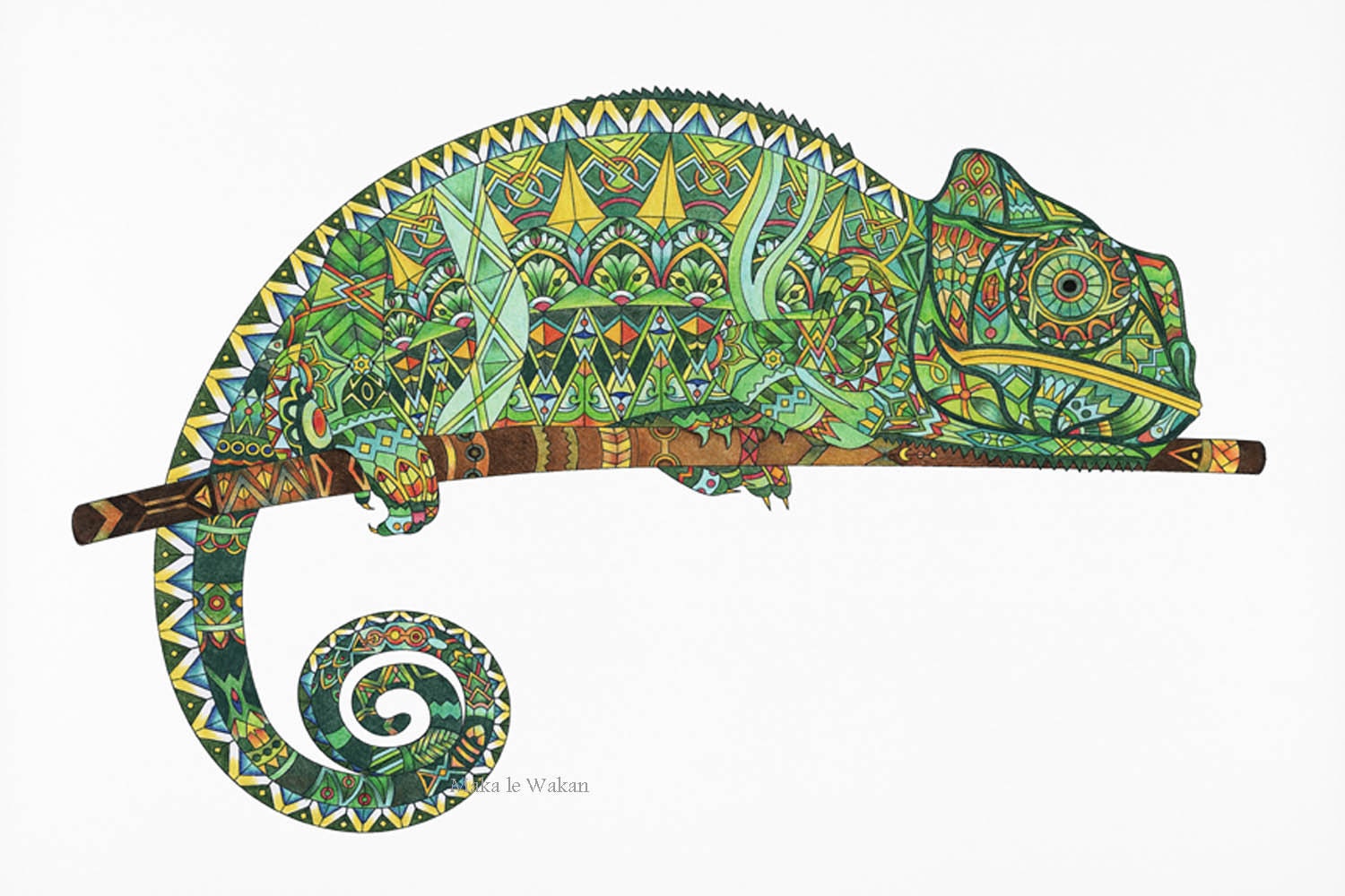 Page De Coloriage Adulte Impression De Coloration Cameleon Etsy France