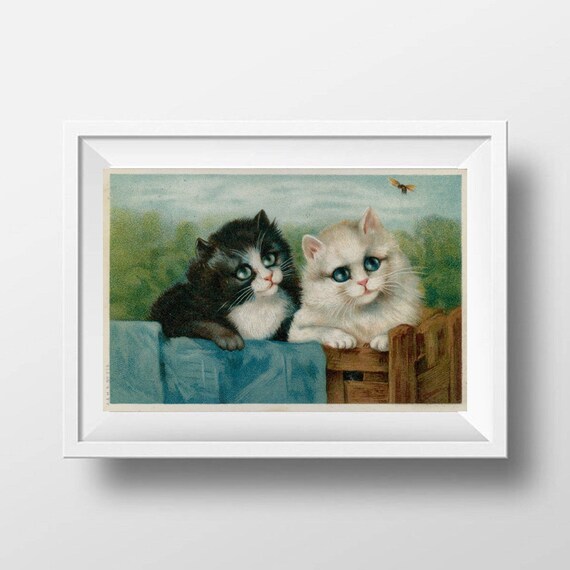 Kittens Print Cats Bee Vintage Print Chocolate Box Etsy