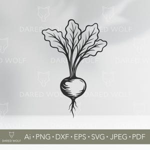 Red Beet SVG: Farmhouse Kitchen Clipart, Cricut & Silhouette (Digital File)