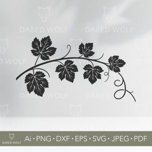 Grape Vine Vector Art | Botanical SVG for Cricut and Silhouette | Leafy Plant Digital File | Vine Design for Vinyl Cutting