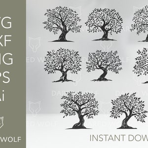 Paquete de olivo Archivo de corte vectorial / Árbol de la vida Clipart / Árbol genealógico Svg / PNG Eps Svg Dxf Ai Archivo de corte Clipart Vector Digital