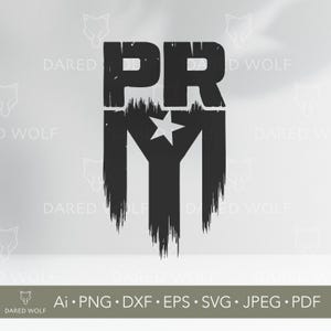 以下が含まれることがあります： 黒と白のグラフィックデザインで、「PR」の文字と、星とストライプのスタイリッシュなデザインが描かれています。文字は太字のブロック体です。