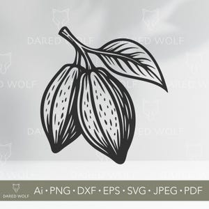 Cocoa Beans SVG: Chocolate Fruit Vector, Kitchen Decor (Digital Cut File)