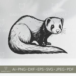 Ferret Vector Art | Cute Pet SVG for Cricut and Silhouette | Animal Digital File | Adorable Ferret Design for Vinyl Cutting Projects