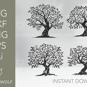 Fichier vectoriel d'olivier | Clipart Arbre de vie | Arbre généalogique Svg | Arbre Svg | Fichier de découpe Ai PNG Eps Svg Svg Clipart vectoriel numérique