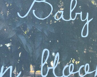 Sheer Welcome Sign | Custom Baby Shower & Wedding Sheer Sign | Tulle