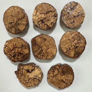 Wood Magnets, Kitchen Magnets, Fridge Magnets Very Unique