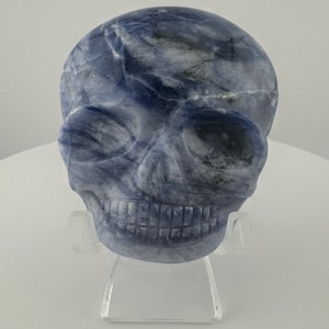 Sodalite Magical Child Palm Skull carved by Leandro de Souza