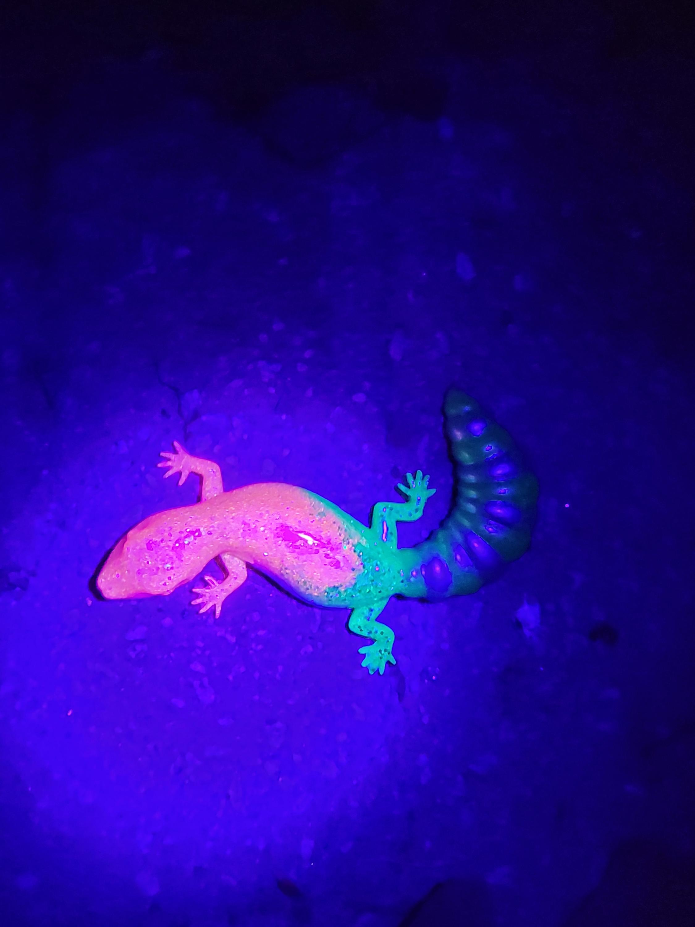 Customizable Glowing Glittery Lizard - Etsy