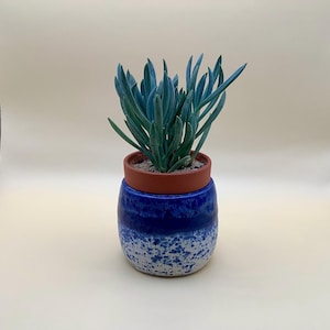 Three inch planter pots