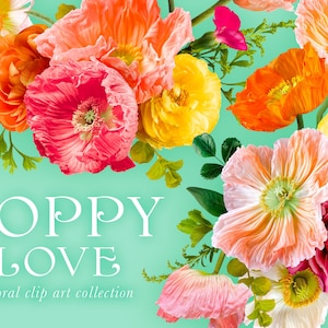 Poppy Love Floral Clip Art & Pattern Graphics Collection - Usage commercial