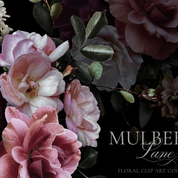 Mulberry Lane Moody Floral Clip Art Set - Commercial Use