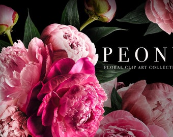 May include: A bouquet of pink and magenta peonies with green leaves against a black background. The text "PEONY FLORAL CLIP ART COLLECTION" is displayed below the flowers.