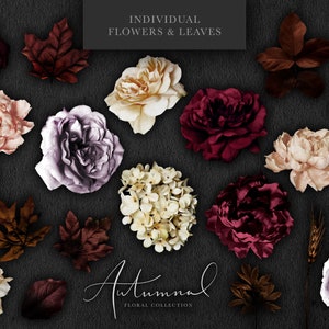 May include: A collection of individual autumnal flowers and leaves in various shades of burgundy, cream, and purple. The flowers include roses, hydrangeas, and other blooms. The leaves are in shades of brown and gold. The text "Autumnal Floral Collection" is written in cursive at the bottom of the image.