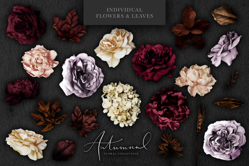 May include: A collection of individual autumnal flowers and leaves in various shades of burgundy, cream, and purple. The flowers include roses, hydrangeas, and other blooms. The leaves are in shades of brown and gold. The text "Autumnal Floral Collection" is written in cursive at the bottom of the image.