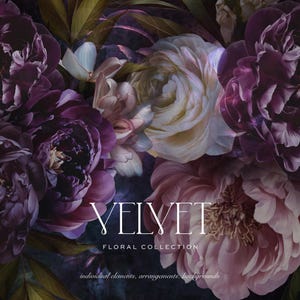 Puede incluir: Imagen de arte digital que presenta una colección de exuberantes peonías de color púrpura oscuro y rosa. El texto "VELVET FLORAL COLLECTION" se muestra en blanco, con texto adicional que indica elementos individuales, arreglos y fondos.