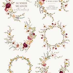 Summer Meadow Watercolor Floral Clip Art & Pattern Graphics Collection ...