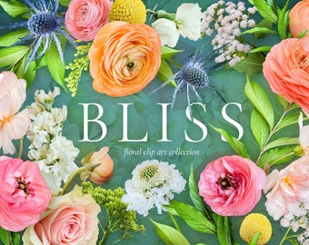 Bliss Floral Clip Art & Pattern Graphics Collection - Commercial Use