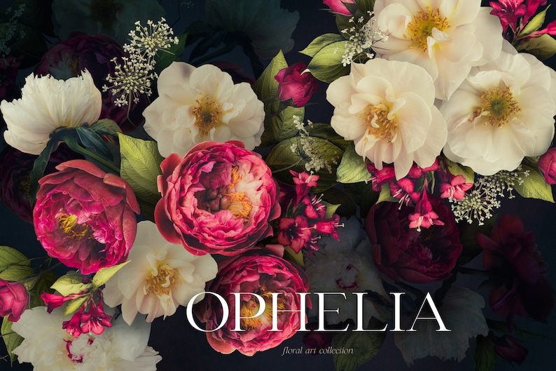 Ophelia Moody Floral Clip Art Bundle - Dark Botanical PNG Sammlung - Burgund Weiß - Kommerzielle Nutzung Bild 1