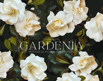 Gardenia Floral Clip Art & Pattern Graphics Collection - Commercial Use