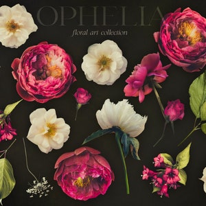 Ophelia Moody Floral Clip Art Bundle - Dark Botanical PNG Sammlung - Burgund Weiß - Kommerzielle Nutzung Bild 9