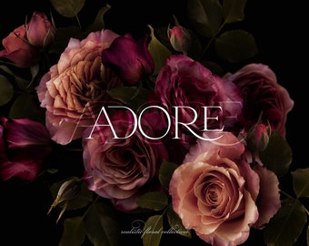 Adore Moody Roses Clip Art - Burgundy Pink Realistic Roses PNG - Frames & Bouquets - Commercial Use