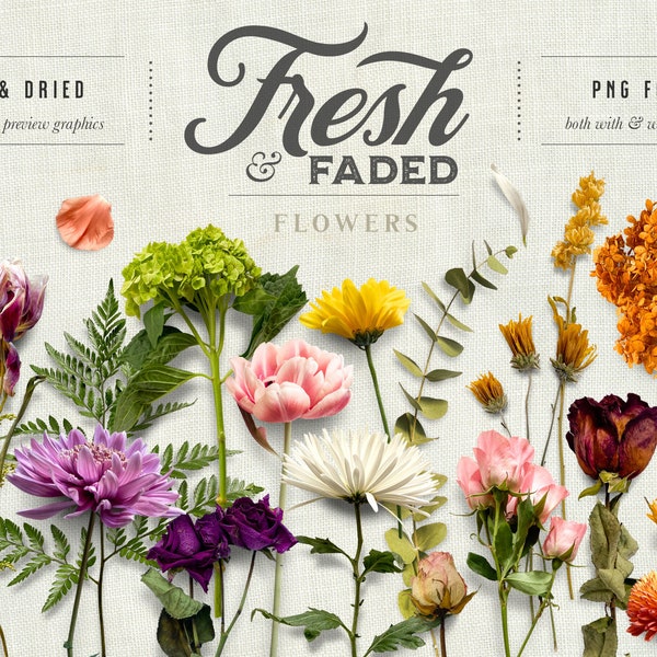Fresh & Faded Floral Scene Creator Flay Lay Graphics - Commercial Use