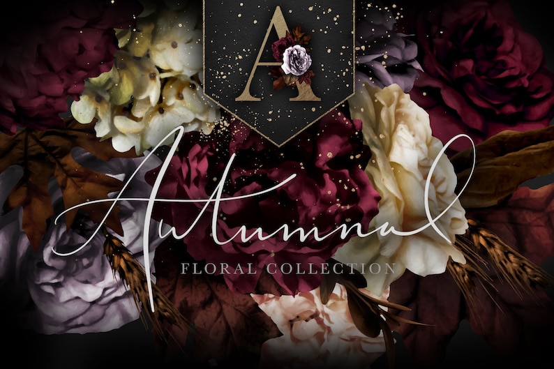 May include: A floral design with burgundy, cream, and purple flowers. The word "Autumn" is written in cursive script with the word "Floral Collection" underneath. The letter "A" is in a gold hexagon with a black background.