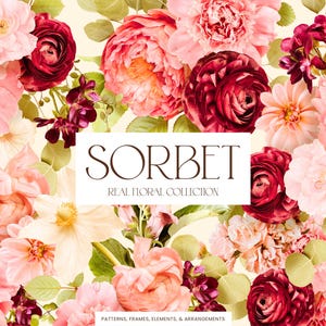 Coleção de gráficos de clipart realistas Sorbet Pink & Burgundy - Licença comercial