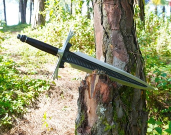 May include: A silver sword with a black handle is placed on a tree stump in a forest setting. The sword is sharp and has a long blade. The background is a forest with trees and green foliage.