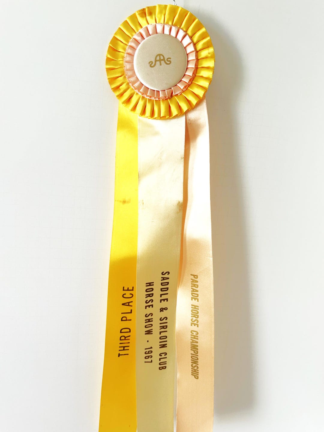 Vintage Third Place Horse Show Ribbon 1967 Parade Horse Championship - Etsy