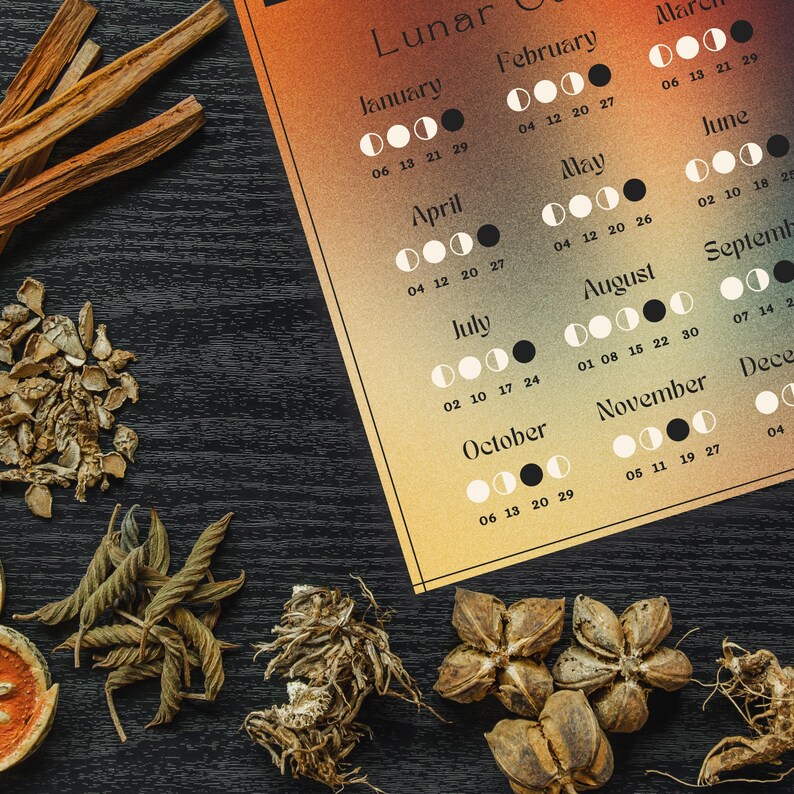 2025 Lunar Calendar Illustrated Moon Phase Wall Art Kitchen Botanical