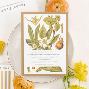 Fall Botanical Illustration Wedding Invitation | Rustic Greenery and Berries | Vintage Floral Invite | Elizabeth and Grayson