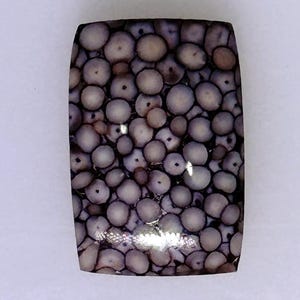 Fósil de lábrido rectangular, ágata piel de serpiente, cabujón, magníficos patrones de escamas, 8,55 quilates 004-12-004