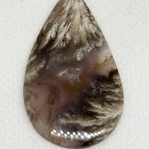 May include: A teardrop-shaped cabochon of agate with a white, grey, and brown dendritic pattern.